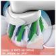 Hygiène dentaire Brosse à dents BRAUN - PRO1BLEUE