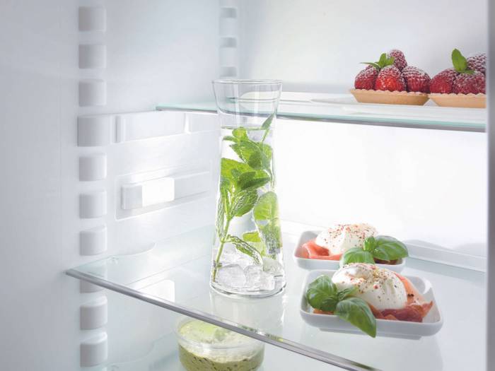 Réfrigérateur intégrable 1 porte Tout utile LIEBHERR - IKS261-21