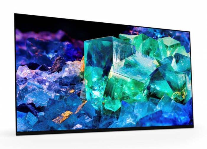 Téléviseur écran 4K OLED SONY -  XR65A95K