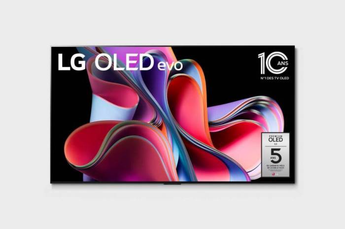 ZTéléviseur écran 4K OLED LG - OLED65G3 - (MODELE D'EXPOSITION)